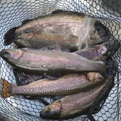 2ヶ月半ぶり釣行